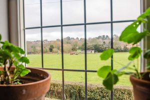 Photo 14- click for photo gallery